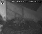 Capi_Dubne_20250708_231502.jpg