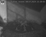 Capi_Dubne_20250708_232003.jpg