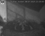 Capi_Dubne_20250708_233503.jpg