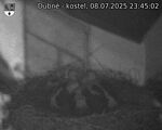 Capi_Dubne_20250708_234502.jpg
