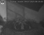 Capi_Dubne_20250709_003503.jpg