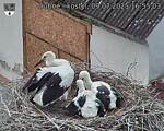 Capi_Dubne_20250709_165503.jpg