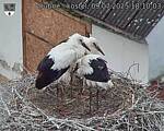 Capi_Dubne_20250709_181003.jpg