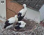 Capi_Dubne_20250709_182002.jpg