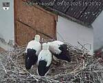 Capi_Dubne_20250709_192002.jpg