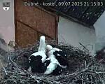 Capi_Dubne_20250709_211503.jpg