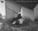 Capi_Dubne_20250709_213503.jpg