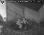 Capi_Dubne_20250709_214503.jpg