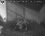 Capi_Dubne_20250709_215002.jpg