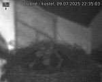 Capi_Dubne_20250709_223503.jpg