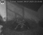 Capi_Dubne_20250709_231502.jpg