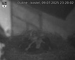 Capi_Dubne_20250709_232002.jpg
