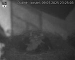 Capi_Dubne_20250709_232503.jpg