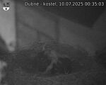 Capi_Dubne_20250710_003503.jpg