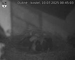 Capi_Dubne_20250710_004503.jpg