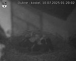 Capi_Dubne_20250710_012002.jpg