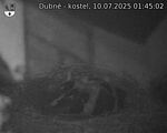 Capi_Dubne_20250710_014502.jpg