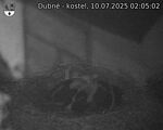 Capi_Dubne_20250710_020502.jpg