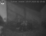 Capi_Dubne_20250710_021502.jpg