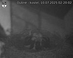 Capi_Dubne_20250710_022002.jpg