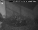 Capi_Dubne_20250710_040502.jpg
