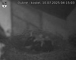 Capi_Dubne_20250710_041503.jpg