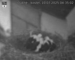 Capi_Dubne_20250710_043502.jpg