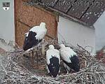 Capi_Dubne_20250710_083002.jpg