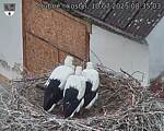 Capi_Dubne_20250710_083503.jpg