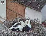 Capi_Dubne_20250710_133503.jpg