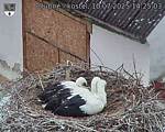 Capi_Dubne_20250710_142503.jpg