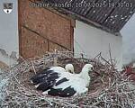 Capi_Dubne_20250710_143003.jpg