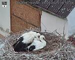 Capi_Dubne_20250710_145004.jpg