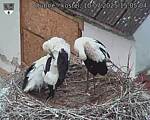 Capi_Dubne_20250710_150504.jpg