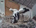 Capi_Dubne_20250710_152003.jpg