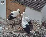 Capi_Dubne_20250710_160502.jpg