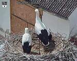 Capi_Dubne_20250710_161003.jpg