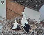 Capi_Dubne_20250710_183003.jpg