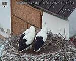 Capi_Dubne_20250710_191504.jpg
