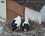 Capi_Dubne_20250710_192002.jpg