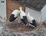 Capi_Dubne_20250710_200503.jpg