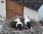 Capi_Dubne_20250710_205503.jpg