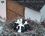 Capi_Dubne_20250710_211502.jpg