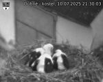 Capi_Dubne_20250710_213003.jpg