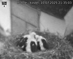 Capi_Dubne_20250710_213503.jpg