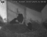 Capi_Dubne_20250710_215002.jpg