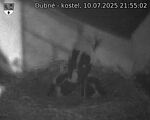 Capi_Dubne_20250710_215502.jpg