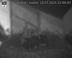 Capi_Dubne_20250710_220003.jpg