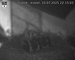 Capi_Dubne_20250710_221503.jpg