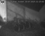 Capi_Dubne_20250710_222502.jpg